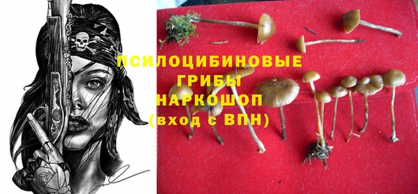 не бодяженный Богородицк