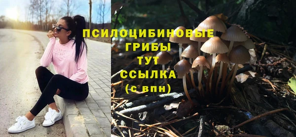 амфетамин Богданович