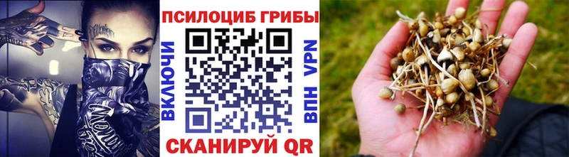 Галлюциногенные грибы мухоморы  магазин  наркотиков  Озёрск 